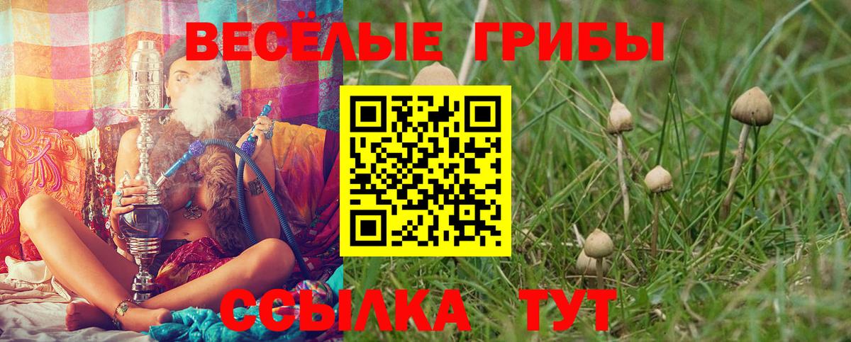 Галлюциногенные грибы GOLDEN TEACHER  Вход с VPN  Озёрск 